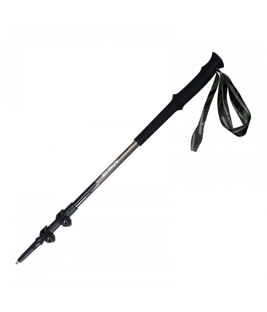 Bâtons de randonnée - Aonijie (photo 0)